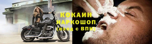 стафф Алексин