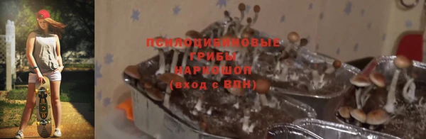 стафф Алексин