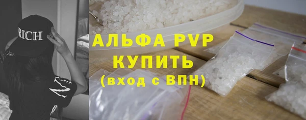 стафф Алексин