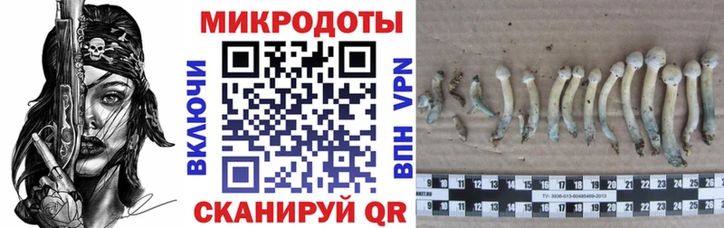 Псилоцибиновые грибы Magic Shrooms  Строитель 